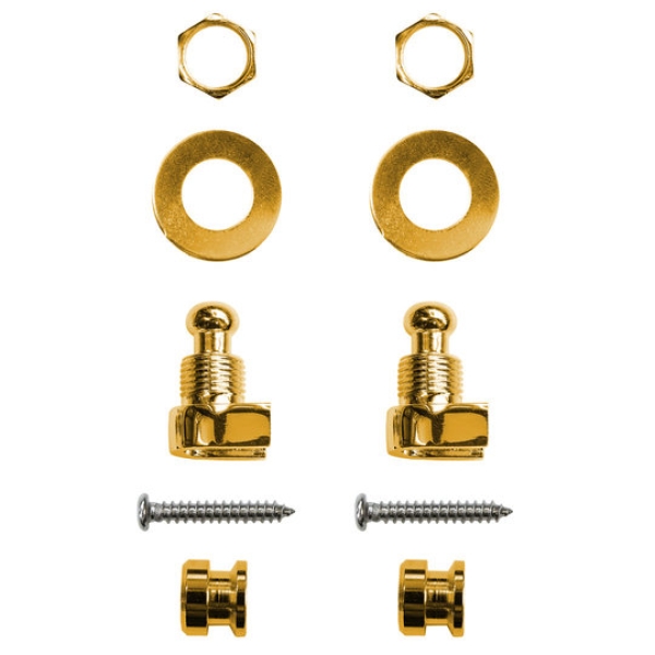 Richter Strap Lock Set Gold